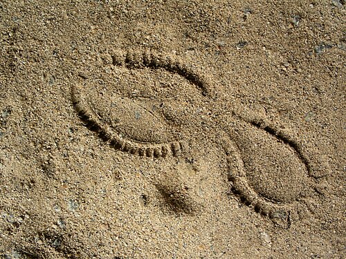 Footprint on the ground