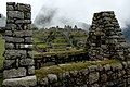 Ensems d'ostaus de Machu Picchu.