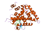 1yok: crystal structure of human LRH-1 bound with TIF-2 peptide and phosphatidylglycerol