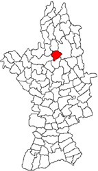 Location in Olt County