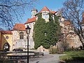 Droyßig Castle