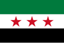 Flag of Syria