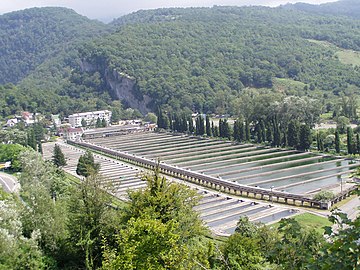 Trout farming near Adler