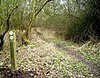 Appleton Lower Common