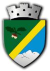 Brasão oficial de Huedin