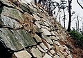 Ruins of Ulsan Castle