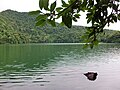 Bulusan Lake at the heart of the park.