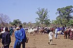 Vignette pour Économie du Mali