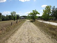 Tratto acciottolato della via Francigena a Galleno, nel comune di Castelfranco di Sotto presso Pisa. Sullo sfondo, l'osteria di Greppi, luogo di sosta doc