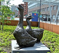 Beelden (2014) nieuwbouw Groene Hart Ziekenhuis, Gouda