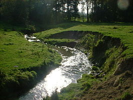 Een meander in de Eyserbeek bij Eys