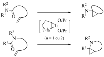 de Meijere variation intramolecular