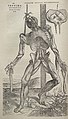 Image 47Vesalius's intricately detailed drawings of human dissections in Fabrica helped to overturn the medical theories of Galen. (from Scientific Revolution)