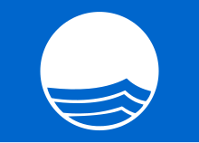 Blue Flag Logo.svg