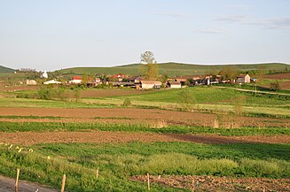 Cătina