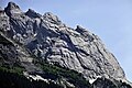 Engelhörner-Westgruppe – Sattelspitzen, Engelburg, Tannenspitze & Rosenlauistock von Norden : Ostwand (Ochsentalflanke)