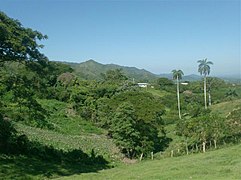 Escambray near Hanabanilla lake in Villa Clara Province