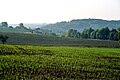 Landschaft bei Mertendorf