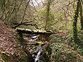 Petit pont en forêt de Cinglais