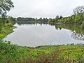 L'étang de Marcillé-Robert vu en direction de l'Ouest depuis le pont le franchissant situé entre les Bas Gats et le Rachat.