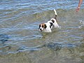 Paula in der Ostsee