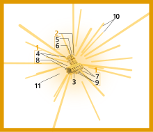 Centrosome (numbers version).svg