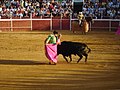 Juan José Padilla executes a chicuelina.