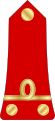 Lieutenant (Madagascar Ground Forces)[50]