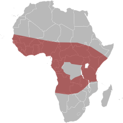 Mapa występowania