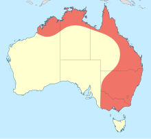 Map showing distribution of Rhadinosticta in eastern and northern Australia