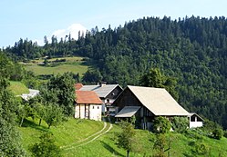 pogled na Staru Oselicu