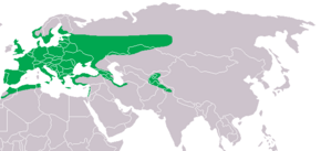 Description de l'image Strix aluco distribution map.png.