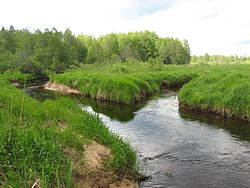 Впадение в реку Яню её наиболее крупного левого притока — реки Ктинянки (Ктинки).