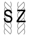 Lo spago in filati o corde è spesso etichettato in inglese come S-twist o S-laid (per torsione sinistrorsa) e Z-twist o Z-laid (per torsione destrorsa), a causa della rispettiva sinistra e destra del sezioni centrali di queste due lettere.