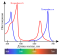 Хлорофилл а һәм Хлорофилл b молекулаларының ҡояш нурын йотоу спектры (зәңгәр) и b (ҡыҙыл)