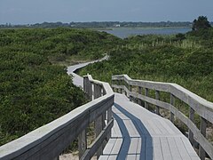 Another view from boardwalk