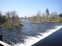 La Vienne à Chabanais.