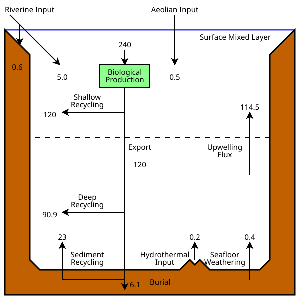 The modern oceanic silicon cycle          Fluxes are in Tmol Si y−1 (1 Tmol = 28 million metric tons of silicon)