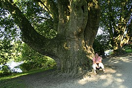 Cambron-Casteau Park, Belgium