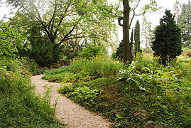 Parc communal de Cointe.