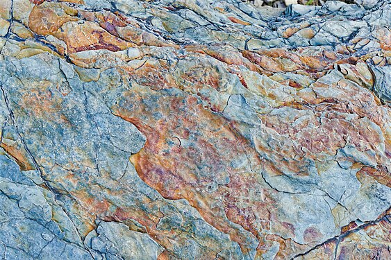 Slab of argillite (mudstone) from the Belt Supergroup, Glacier National Park, Montana, USA