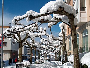 Vista hivernal