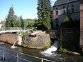 Chutes d'eau au jardin Humbert Belhomme.