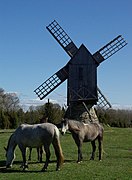 Moulin à vent à Koguva.