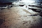 A set of petroglyphs found in the Besov Nos cape of the Lake Onega region.