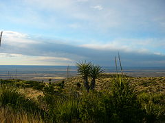 Entrada a les coves