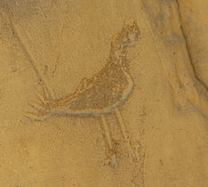 Chaco Pictograph, Chaco Culture Historical Park, NM