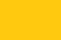 The Ayyubid yellow standard