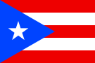 Flag of Puerto Rico (1995-)