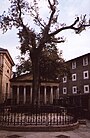 L'Arbre de Gernika